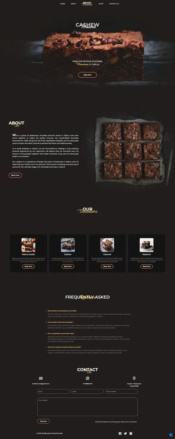 Web Designs Frenzy Website Portfolio-3